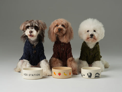 GLACIER PET SWEATER - OLIVE GREEN