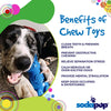Bunny Nylon Chew Toy for Aggressive Chewers | Durable & USA Made