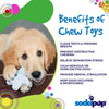 Snowflake Nylon Dog Chew Toy for Aggressive Chewers | USA Made & FDA Compliant