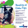 Vampire Bat Nylon Dog Chew Toy for Aggressive Chewers | USA Made & FDA Compliant