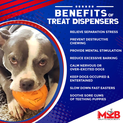 Roasted Turkey eDispenser Durable Rubber Chew Toy & Treat Dispenser - Large - 25% off!