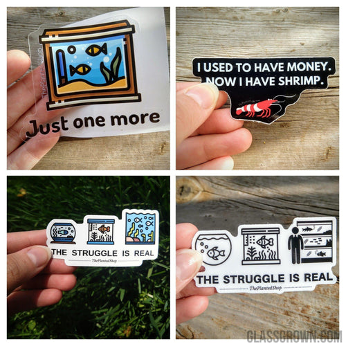 Bestselling Aquarium Decal Stickers (4 Pack)