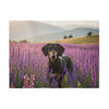 Sweatshirt Blanket – Plush Fleece Throw, 2 Size Options