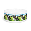 Ceramic Pet Bowl – 16 oz Dog Feeding Bowl