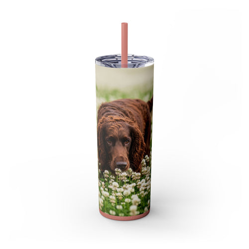 Skinny Tumbler with Straw – 20 oz Stainless Steel Cup
