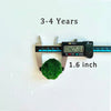 Marimo Moss Balls For Aquarium 5PCS Multiple Size Moss Ball Aqua Plant Pet Bulk Sale - Kokedama Japanese Algae Ball Wholesale