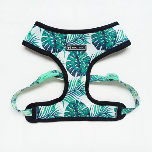Adjustable Dog Harness and Leash Set
