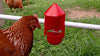 Anti-Dirt Cup Covers - Compatible with ALL RentACoop DIY Auto-Fill Cups and Chicken Waterers