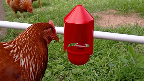 Anti-Dirt Cup Covers - Compatible with ALL RentACoop DIY Auto-Fill Cups and Chicken Waterers