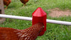 Anti-Dirt Cup Covers - Compatible with ALL RentACoop DIY Auto-Fill Cups and Chicken Waterers