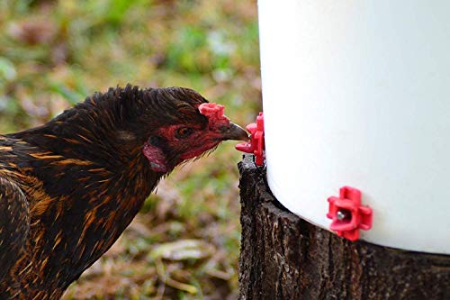 Make Your Own Chicken Waterer Kit - Horizontal Chicken Nipples 50-Pack + Installation Piece