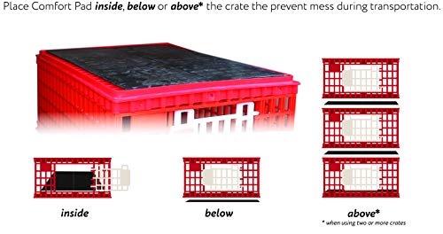 Poultry Carrier Crate 29 L x 22 W x 12 H for Chickens