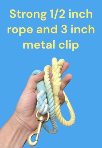 Sunshine Waves Tie Dye Leash - Glow Pups