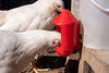 Anti-Dirt Cup Covers - Compatible with ALL RentACoop DIY Auto-Fill Cups and Chicken Waterers
