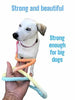 Rainbow Tie Dye Leash - Glow Pups