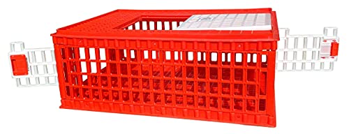 Poultry Carrier Crate 29 L x 22 W x 12 H for Chickens
