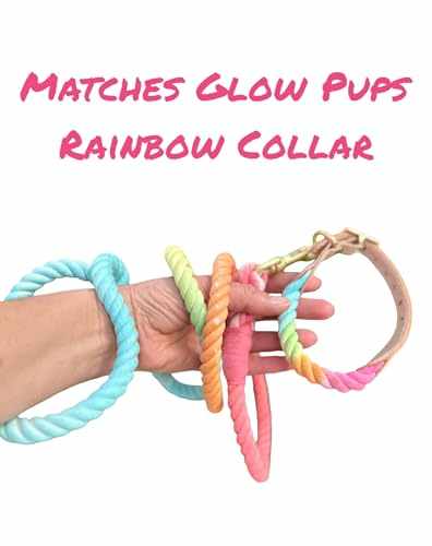 Rainbow Tie Dye Leash - Glow Pups