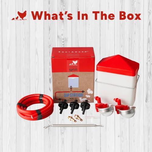 RAC Paws DIY Sip Station Watering System Mini Kit for Small Animals