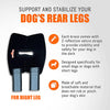 NeoAlly Dog Rear Leg Hock Brace with Safety Reflective Straps for Small Dogs [Short Version]