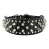 Rivet Studded Large Dog Collar