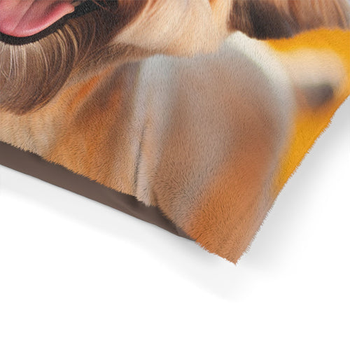 Pet Bed – Plush Dog Bed, 3 Size Options