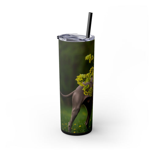 Skinny Tumbler with Straw – 20 oz Stainless Steel Cup