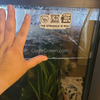 Fish Tank Struggles Decal Sticker