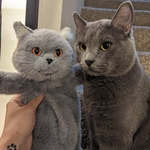 Russian Blue Cat Backpack – Cat Lover’s Daily Bag