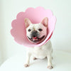 Sunflower Pet Recovery Collar Head Cover