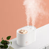 Wireless Mini USB charging sprayer
