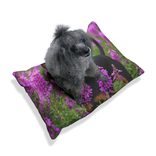 Pet Bed – Plush Dog Bed, 3 Size Options