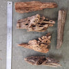 Malaysian Driftwood Medium (7-12)