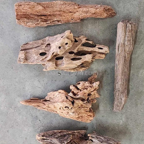 Malaysian Driftwood Medium (7-12)