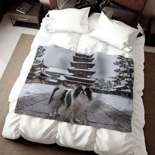 Japanese Chin Blanket