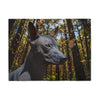 Xoloitzcuintli Blanket