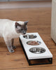 Three Bowls Lunch Bar for Cats
