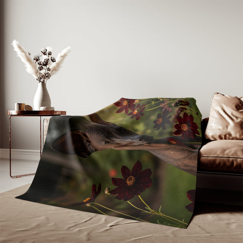 Sweatshirt Blanket – Plush Fleece Throw, 2 Size Options