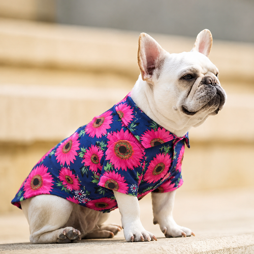 Tropical Floral Beach Hawaii Dog Shirt