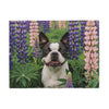Sweatshirt Blanket – Plush Fleece Throw, 2 Size Options
