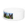 Ceramic Pet Bowl – 16 oz Dog Feeding Bowl