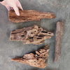 Malaysian Driftwood Medium (7-12)