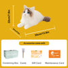 Ragdoll Weighted Plush – Realistic Cozy Calming Toy