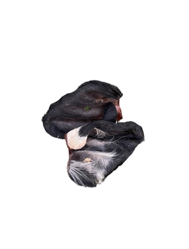 Dehydrated Beef Ears with Fur