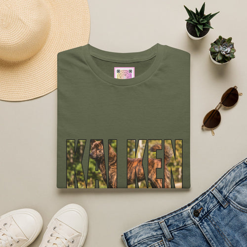 Kai Ken Tee Shirt
