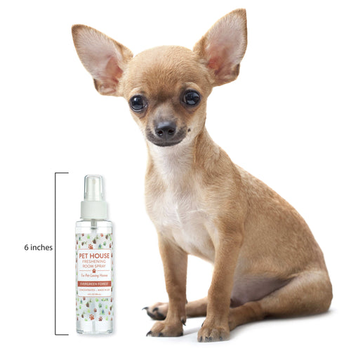Evergreen Forest Room Spray