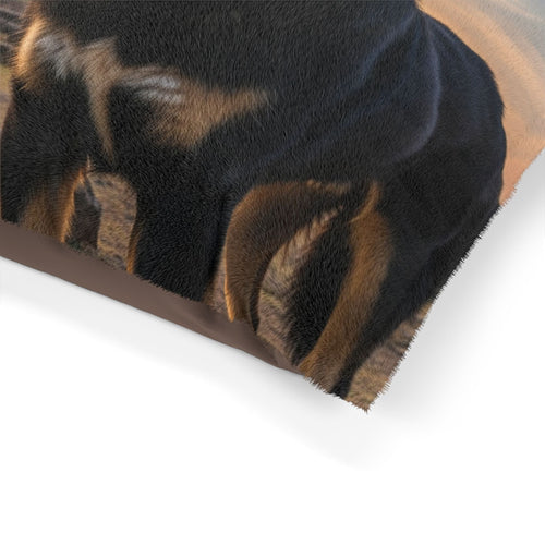 Bakharwal Pet Bed
