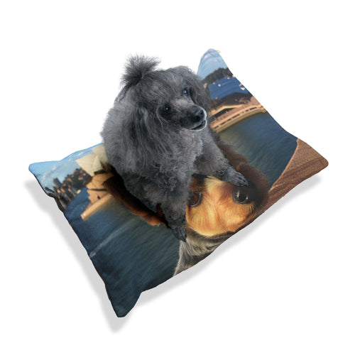 Australian Silky Terrier Pet Bed