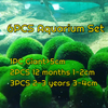 Live Marimo Moss Ball Aquarium 6PCS Set Kokedama Ball for 20 Gallon Aquarium