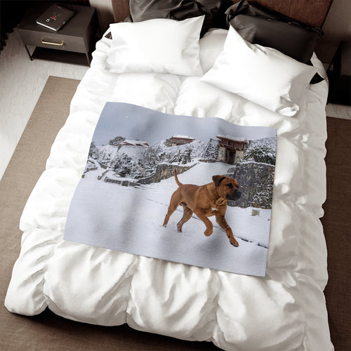 Tosa Blanket