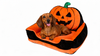 Jack-O'-Lantern Halloween Pet Sofa Bed